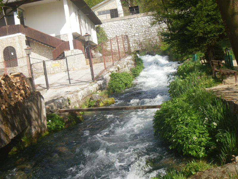 Plava voda, Travnik