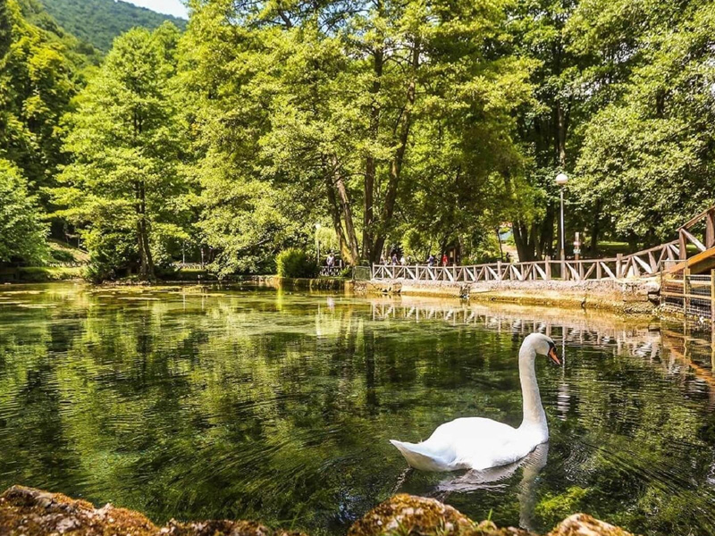 Vrelo Bosne